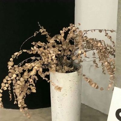 Furry绘画质感灵感兽圈社群